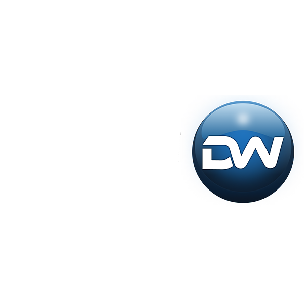 datawide logo